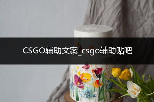 CSGO辅助文案_csgo辅助贴吧