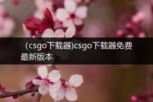 （csgo下载器)csgo下载器免费最新版本