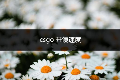 csgo 开镜速度