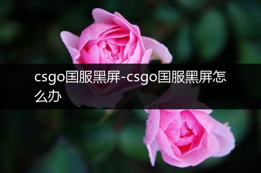 csgo国服黑屏-csgo国服黑屏怎么办