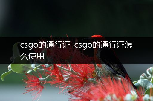 csgo的通行证-csgo的通行证怎么使用