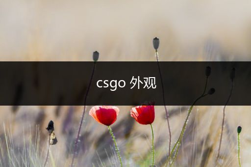 csgo 外观