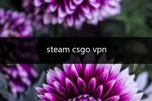 steam csgo vpn