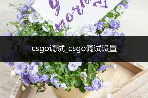 csgo调试_csgo调试设置