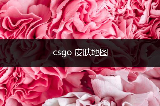 csgo 皮肤地图