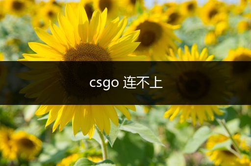 csgo 连不上