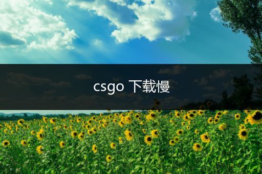 csgo 下载慢