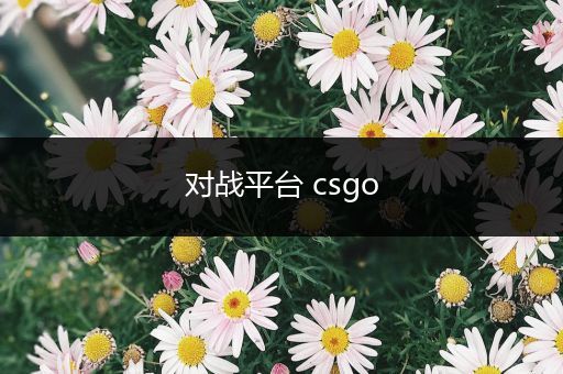 对战平台 csgo