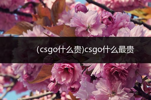 （csgo什么贵)csgo什么最贵