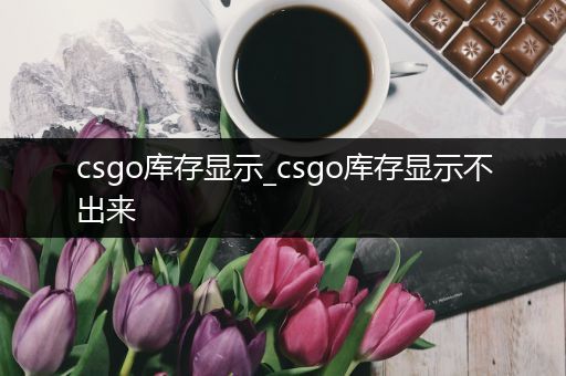 csgo库存显示_csgo库存显示不出来