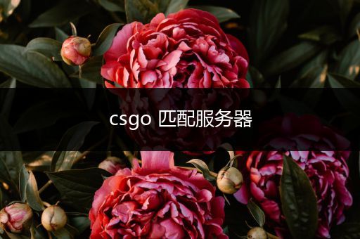 csgo 匹配服务器