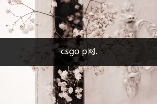 csgo p网.