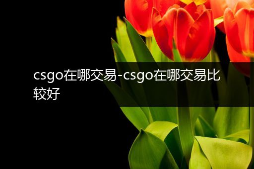 csgo在哪交易-csgo在哪交易比较好