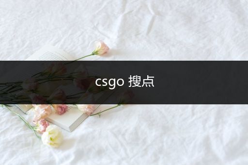 csgo 搜点