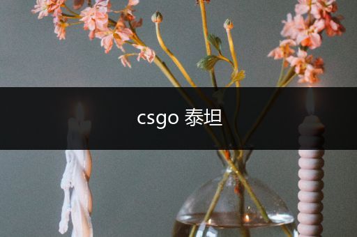 csgo 泰坦