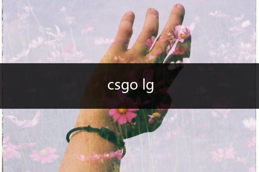 csgo lg