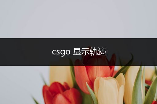 csgo 显示轨迹