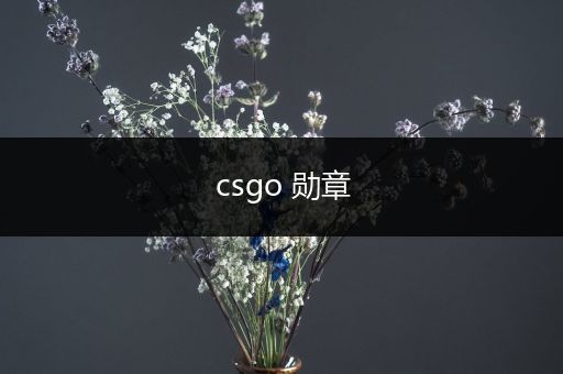 csgo 勋章