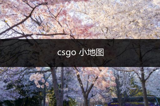 csgo 小地图