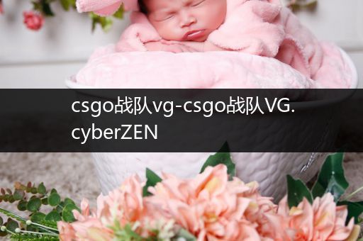 csgo战队vg-csgo战队VG.cyberZEN