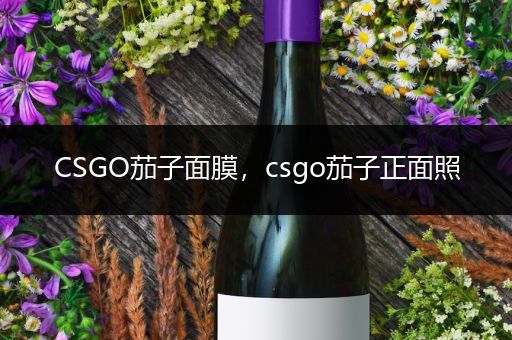 CSGO茄子面膜，csgo茄子正面照