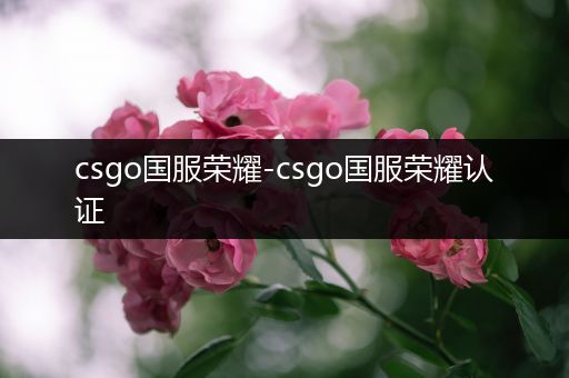 csgo国服荣耀-csgo国服荣耀认证