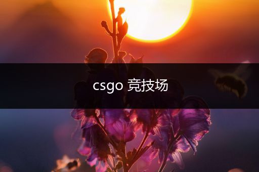 csgo 竞技场