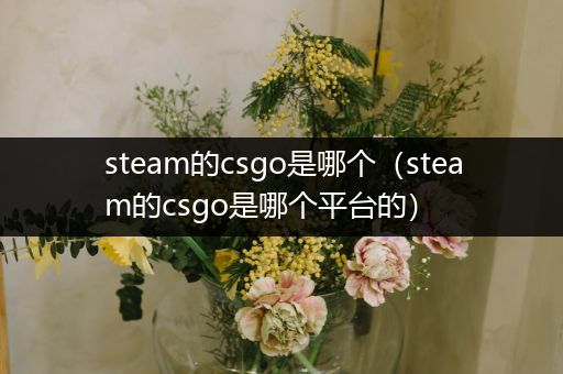 steam的csgo是哪个（steam的csgo是哪个平台的）