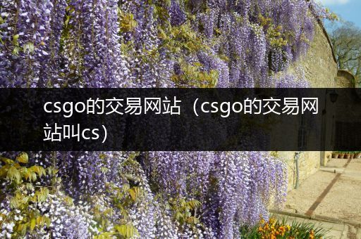 csgo的交易网站（csgo的交易网站叫cs）