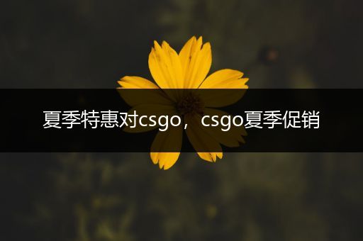 夏季特惠对csgo，csgo夏季促销