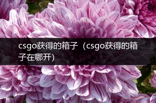 csgo获得的箱子（csgo获得的箱子在哪开）