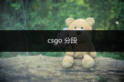 csgo 分段