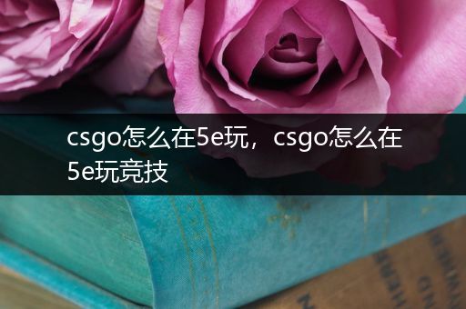 csgo怎么在5e玩，csgo怎么在5e玩竞技