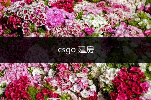 csgo 建房