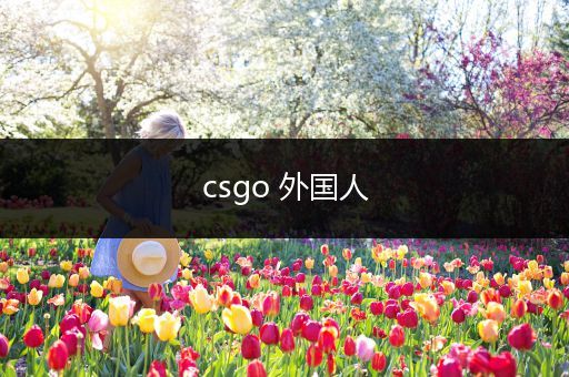 csgo 外国人