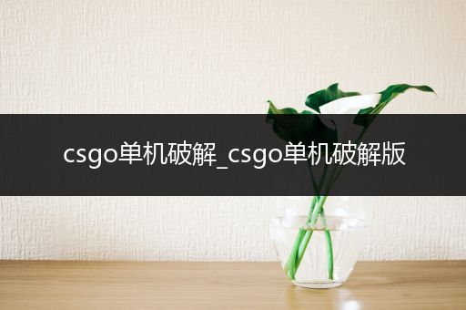 csgo单机破解_csgo单机破解版