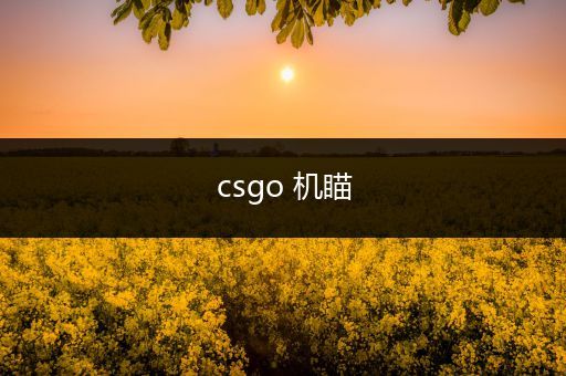 csgo 机瞄