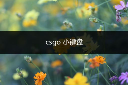 csgo 小键盘