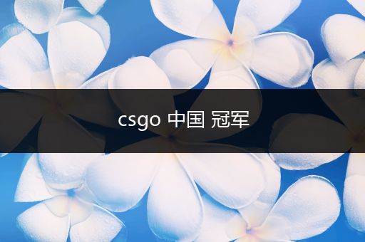 csgo 中国 冠军