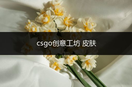 csgo创意工坊 皮肤