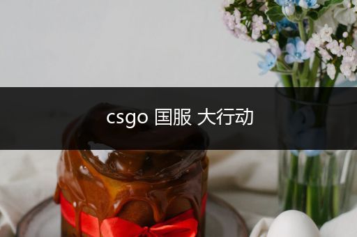 csgo 国服 大行动