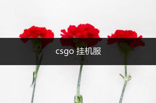 csgo 挂机服