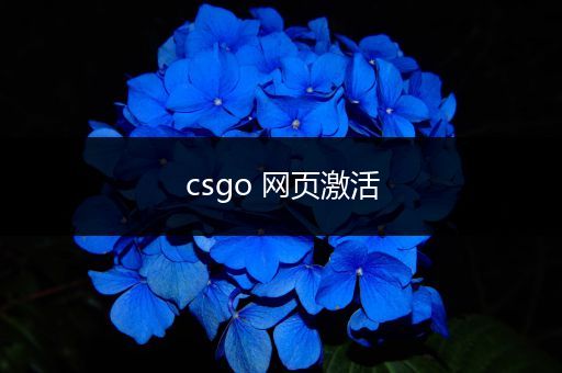 csgo 网页激活