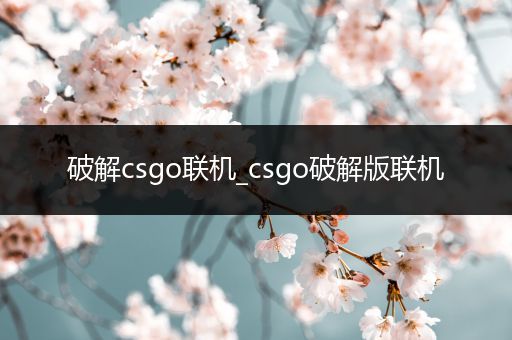 破解csgo联机_csgo破解版联机