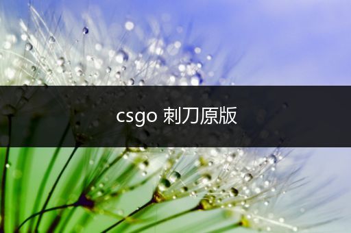 csgo 刺刀原版