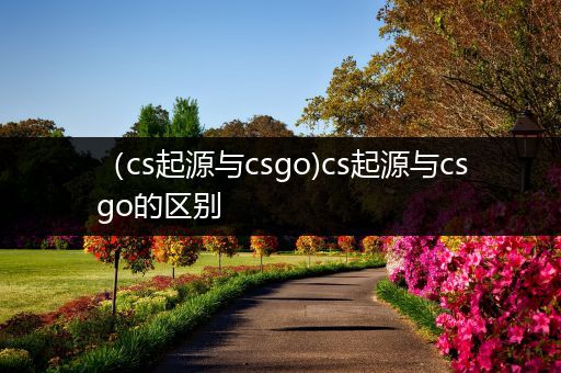 （cs起源与csgo)cs起源与csgo的区别