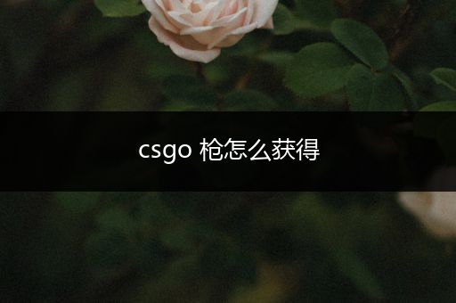 csgo 枪怎么获得