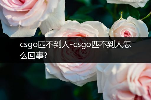 csgo匹不到人-csgo匹不到人怎么回事?