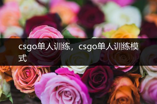 csgo单人训练，csgo单人训练模式