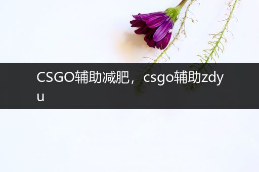 CSGO辅助减肥，csgo辅助zdyu